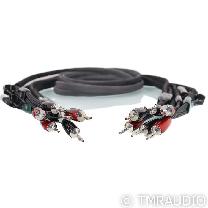 AudioQuest Robin Hood ZERO Bi-Wire Combo Speaker Cables; 8ft Pair; ZERO + BASS; 72v DBS