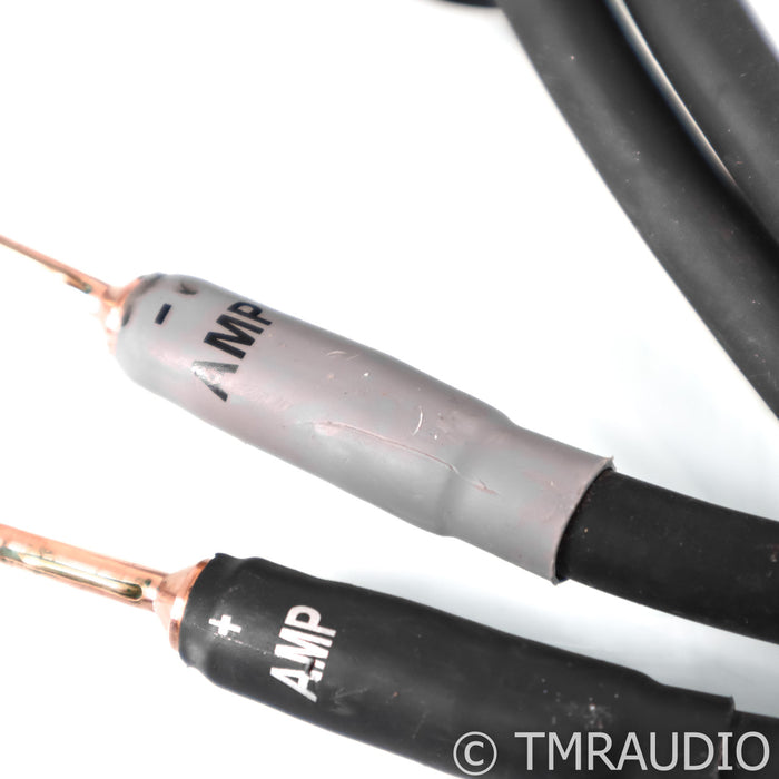 Shunyata Research Alpha V2 Copper Speaker Cables; 2m Pair
