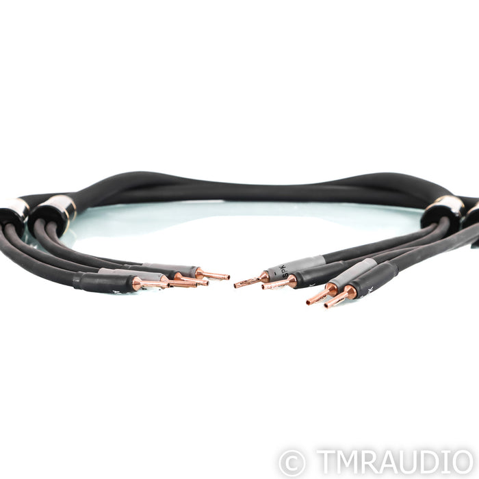 Shunyata Research Alpha V2 Copper Speaker Cables; 2m Pair