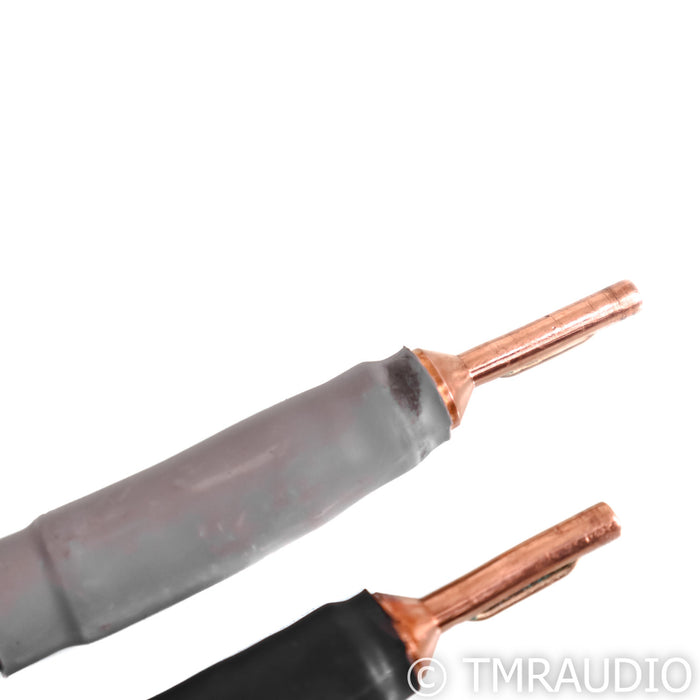 Shunyata Research Alpha V2 Copper Speaker Cables; 2m Pair