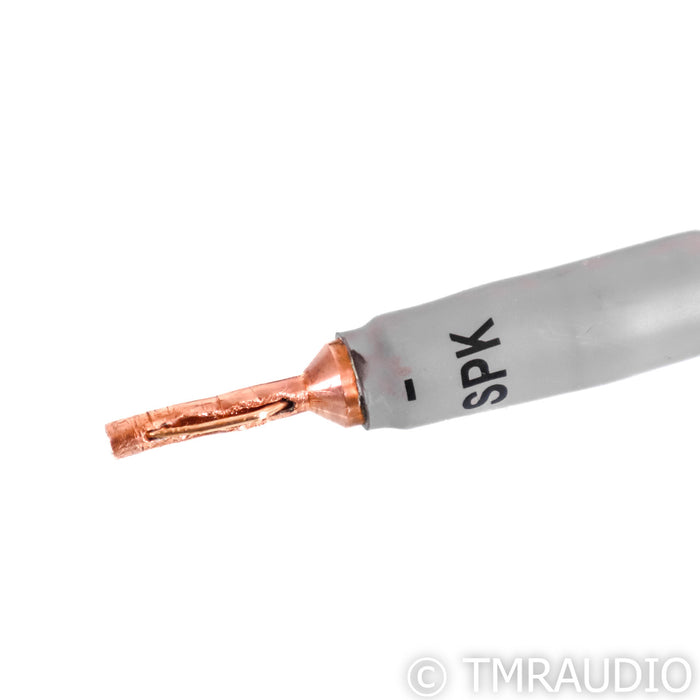Shunyata Research Alpha V2 Copper Speaker Cables; 2m Pair