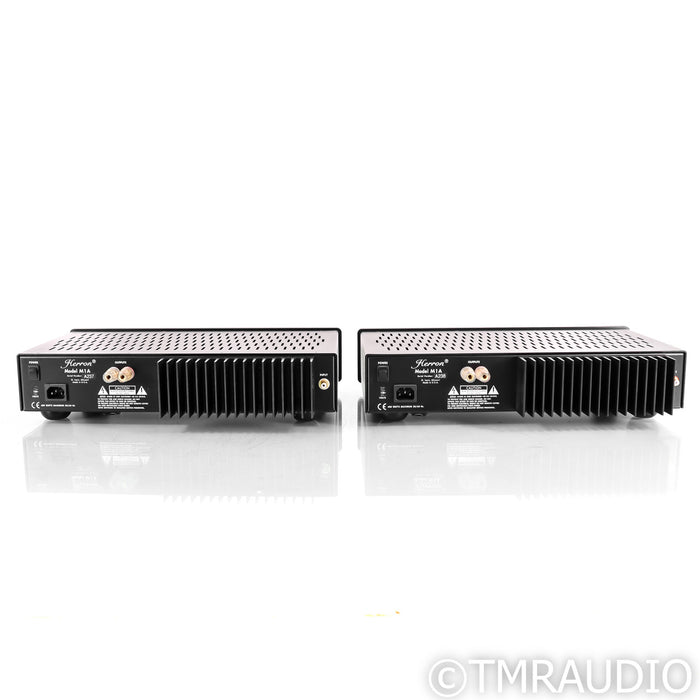 Herron Audio M1A Mono Power Amplifiers; Pair