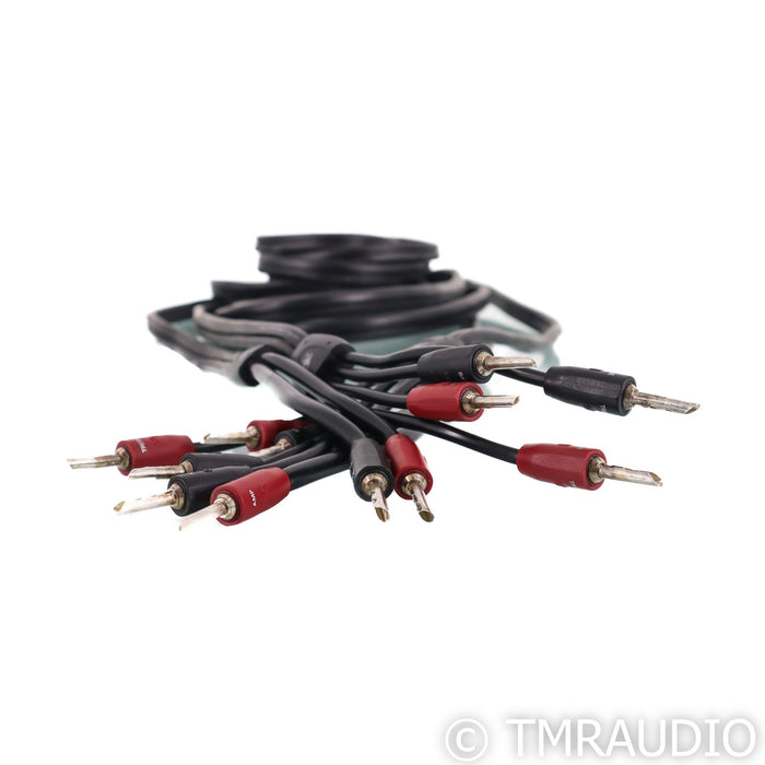 AudioQuest Rocket 22 BI-Wire Speaker Cables; 10ft Pair Banana