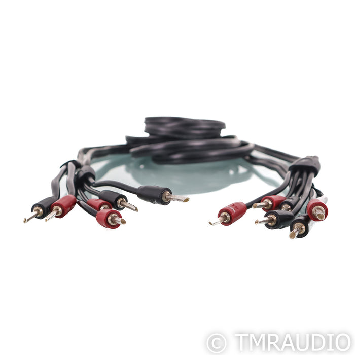 AudioQuest Rocket 22 BI-Wire Speaker Cables; 10ft Pair Banana