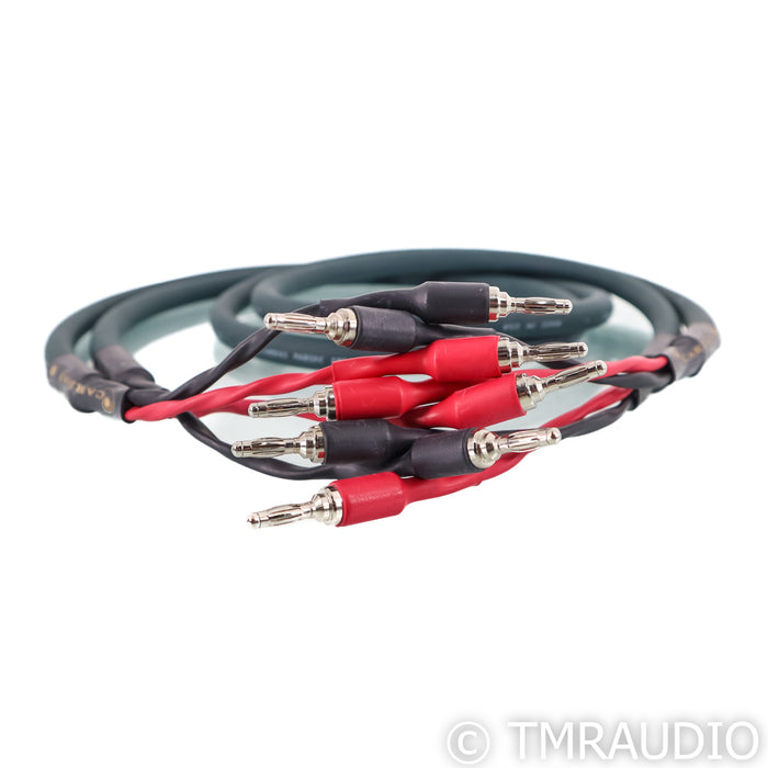 Cardas Parsec Speaker Cables; 1.5m Pair