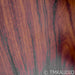 Harbeth HL Compact 7ES-3 Bookshelf Speakers; Rosewood Pair w/ Stands; 30th Anv.