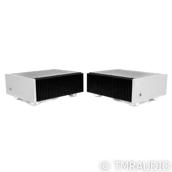 Van Alastine DVA M225 Mono Power Amplifier; Pair