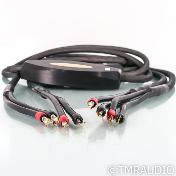 Transparent Audio MusicWave Ultra MM2; 8ft Pair