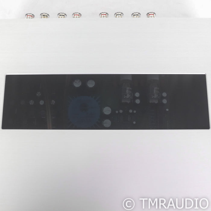 AVM Evolution A 5.2 Stereo Tube Integrated Amplifier; Demo w/ Warranty (Open Box)