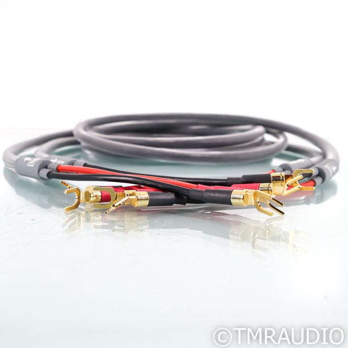 Shunyata Research Venom Speaker Cables; 3m Pair