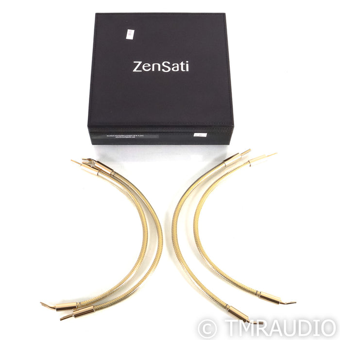ZenSati Seraphim Speaker Jumper Set; Set of 2 (Mint/Unused)