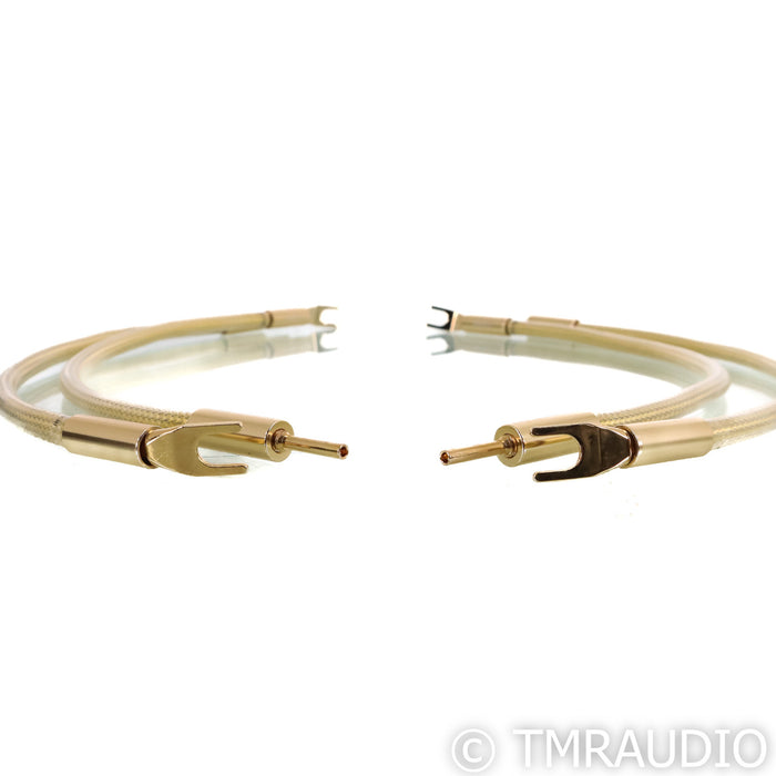 ZenSati Seraphim Speaker Jumper Set; Set of 2 (Mint/Unused)