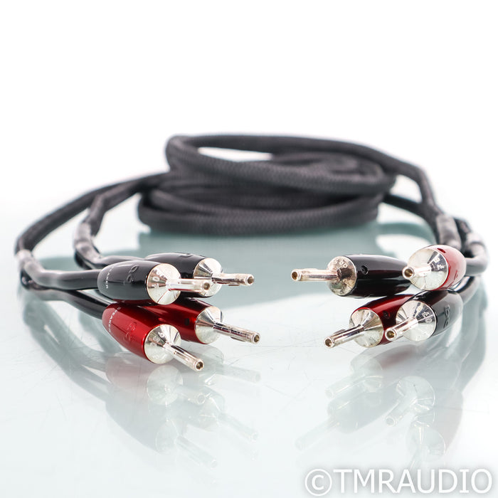 AudioQuest Rocket 44 Speaker Cables; 10ft Pair