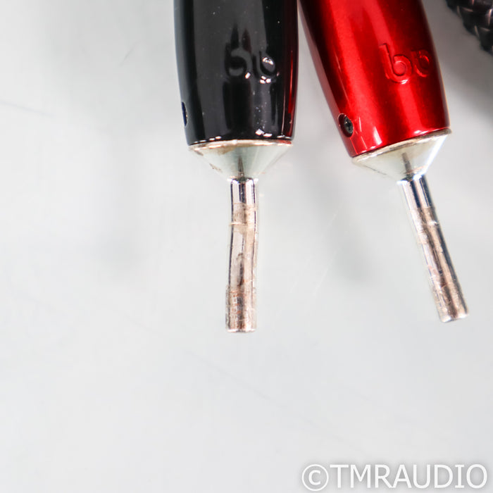 AudioQuest Rocket 44 Speaker Cables; 10ft Pair