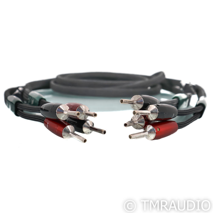 AudioQuest Robin Hood ZERO Speaker Cables; 10ft Pair Banana