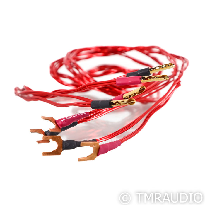 Anti Cables Level 3.1 Speaker Cables; 2m Pair