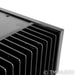 PSE Studio V Mono Power Amplifier; Pair
