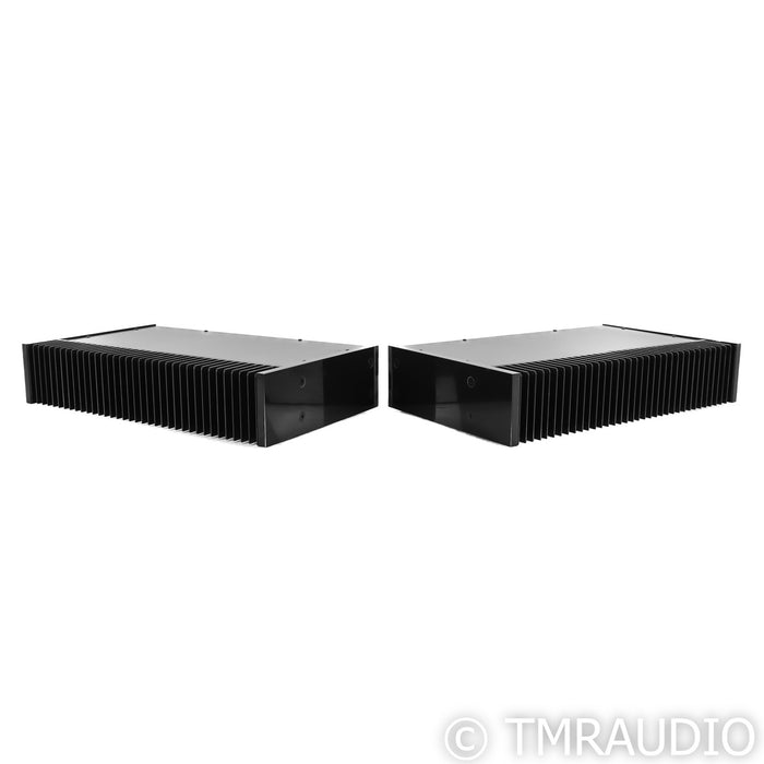 PSE Studio V Mono Power Amplifier; Pair