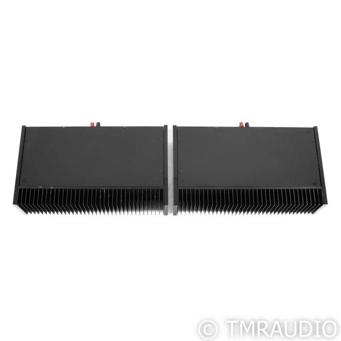 PSE Studio V Mono Power Amplifier; Pair