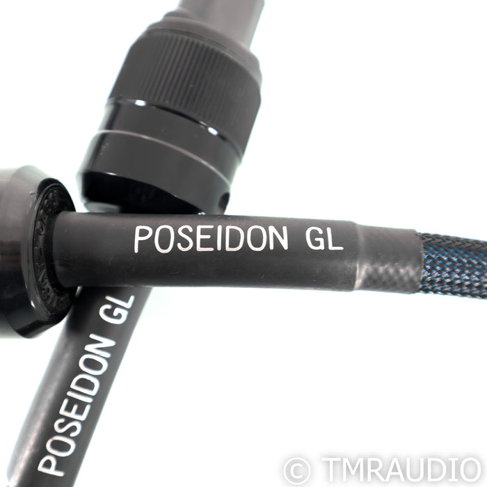 Silnote Audio Posidon GL Reference Power Cable; 1m AC Cord