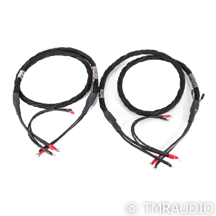Synergistic Research Element CTS Speaker Cables; 8ft Pair; Copper Tungsten Silver