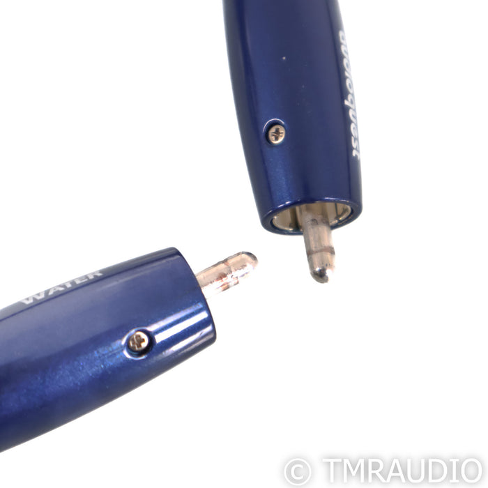 AudioQuest Water RCA Cables; 1m Pair Interconnects (Used)