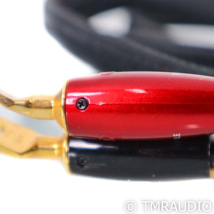 AudioQuest Rocket 88 Bi-Wire Speaker Cables; 8ft Pair (Used)