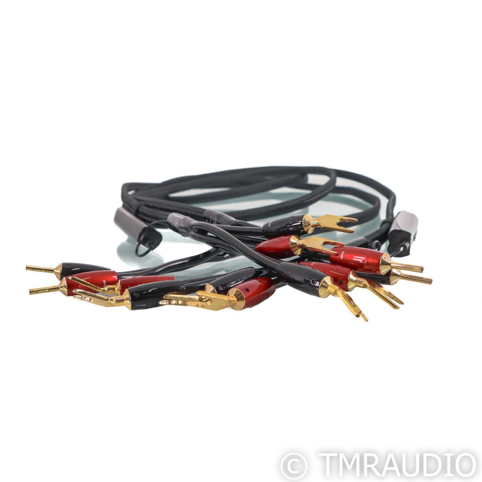 AudioQuest Rocket 88 Bi-Wire Speaker Cables; 8ft Pair (Used)