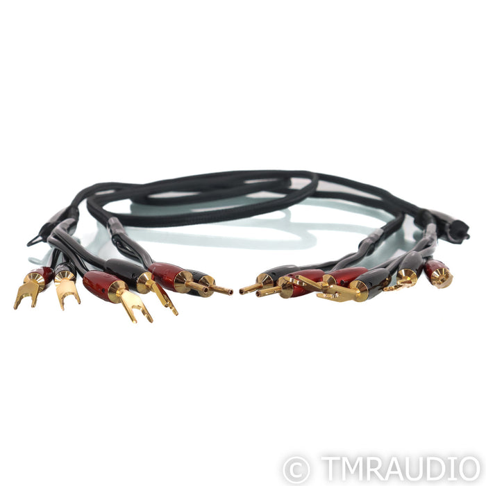AudioQuest Rocket 88 Bi-Wire Speaker Cables; 8ft Pair (Used)