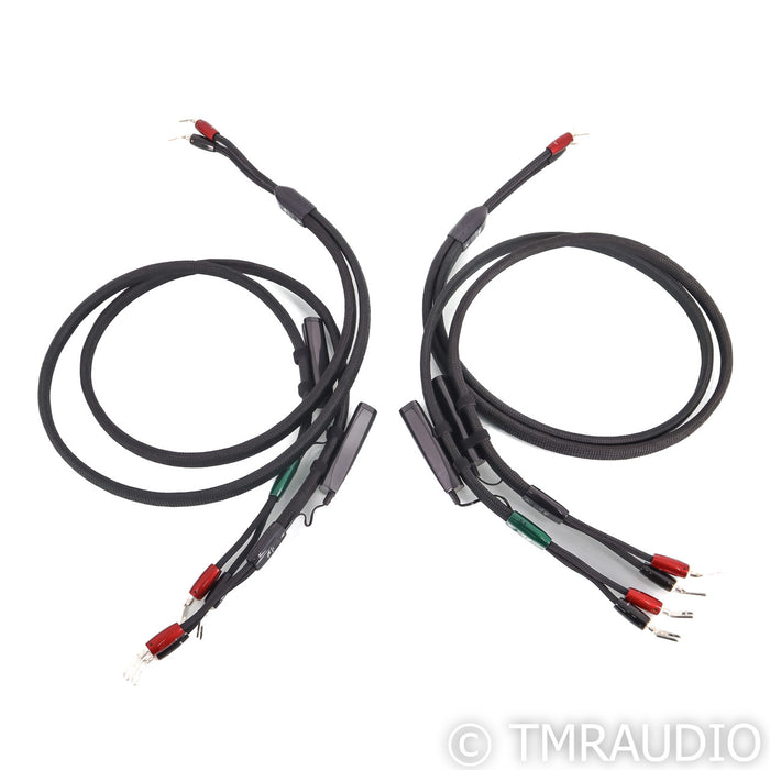 AudioQuest Robin Hood Bi-Wire Combo Speaker Cable; 5ft Pair