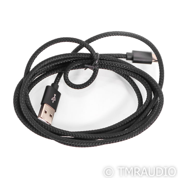 iFi Audio GO Bar Portable Headphone DAC; D/A Converter