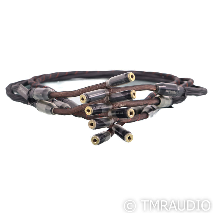 Tara Labs The One CX Speaker Cables; 8ft Pair