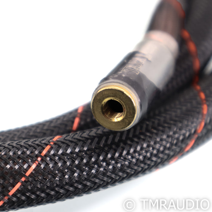 Tara Labs The One CX Speaker Cables; 8ft Pair