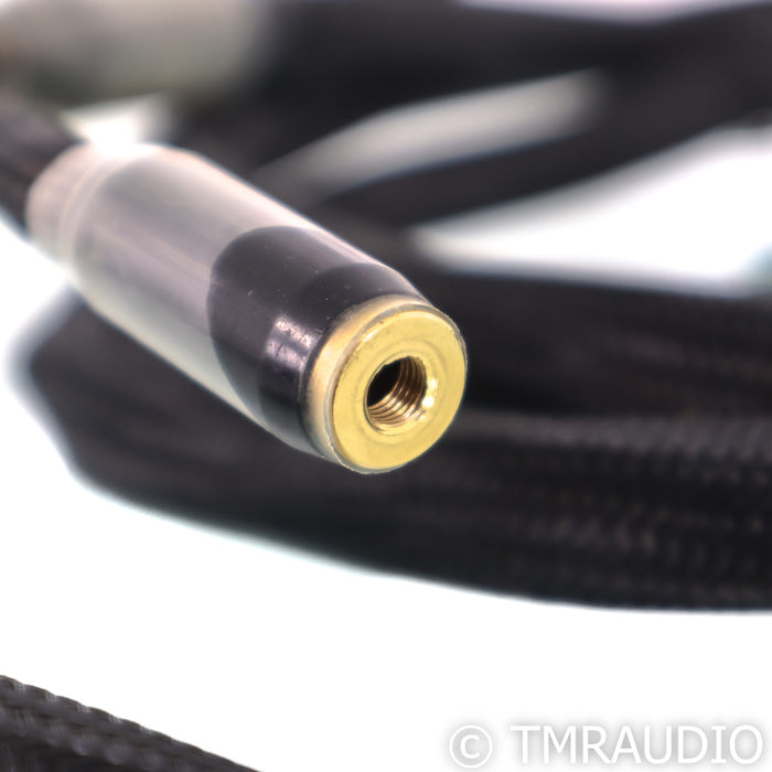 Tara Labs The One CX Speaker Cables; 8ft Pair
