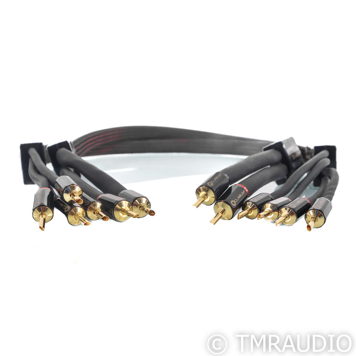 Clarus Crimson MkII Bi-Wire Speaker Cables; 4ft Pair