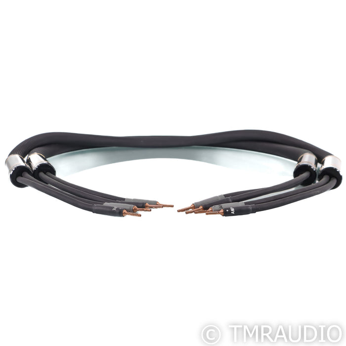 Shunyata Research Alpha V2 Speaker Cables; 2m Pair