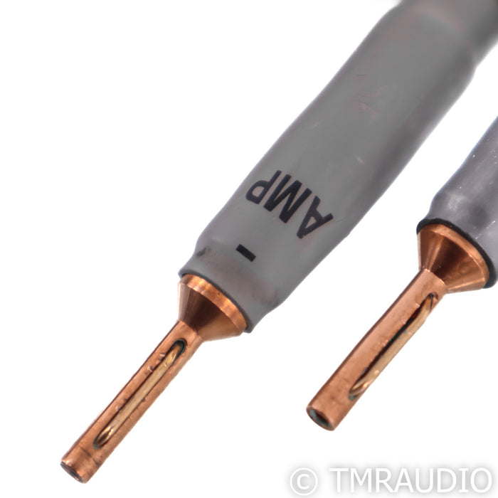 Shunyata Research Alpha V2 Speaker Cables; 2m Pair