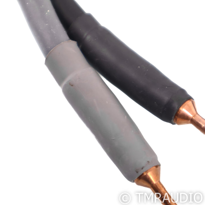 Shunyata Research Alpha V2 Speaker Cables; 2m Pair