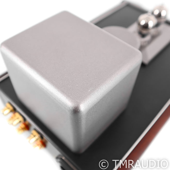Fosgate Signature Tube Headphone Amplifier
