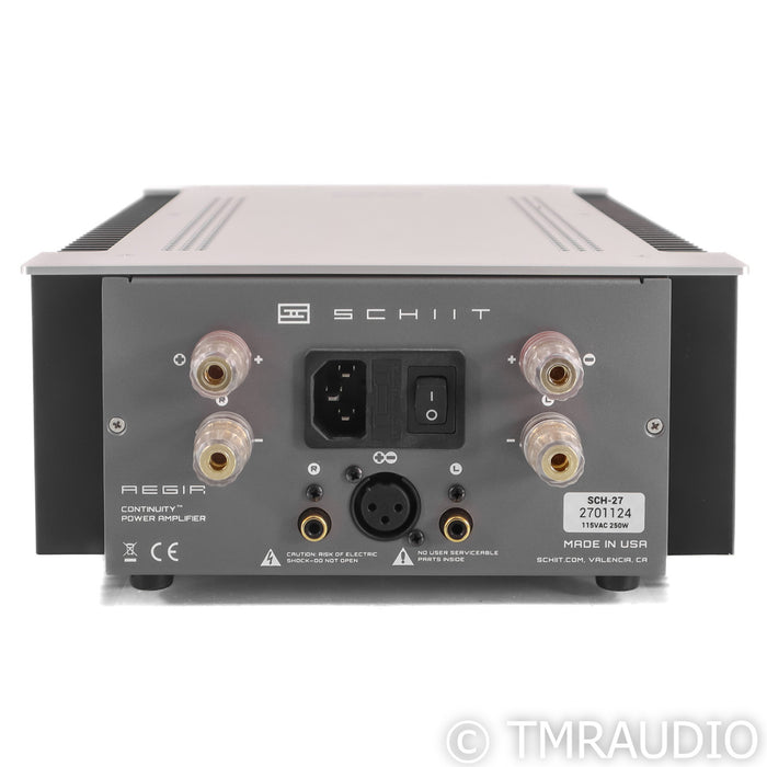 Schiit Audio Aegir Stereo Power Amplifier