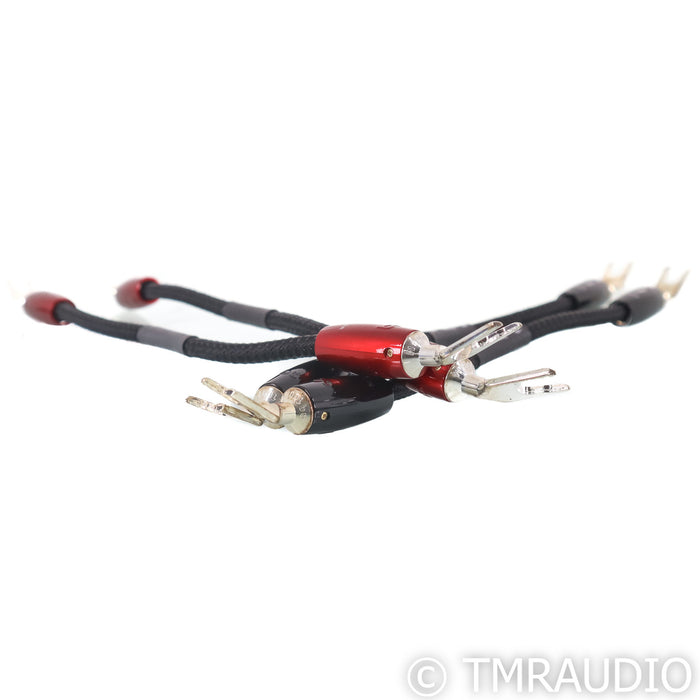 AudioQuest Dragon Bi-Wire Jumpers; Set of 4