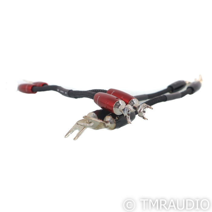 AudioQuest Dragon Bi-Wire Jumpers; Set of 4