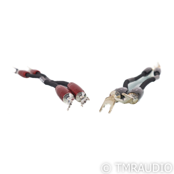 AudioQuest Dragon Bi-Wire Jumpers; Set of 4
