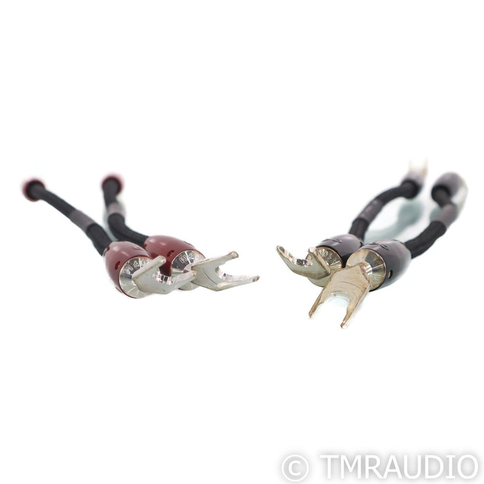 AudioQuest Dragon Bi-Wire Jumpers; Set of 4