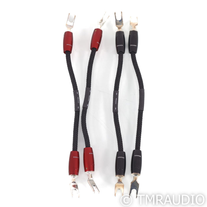 AudioQuest Dragon Bi-Wire Jumpers; Set of 4