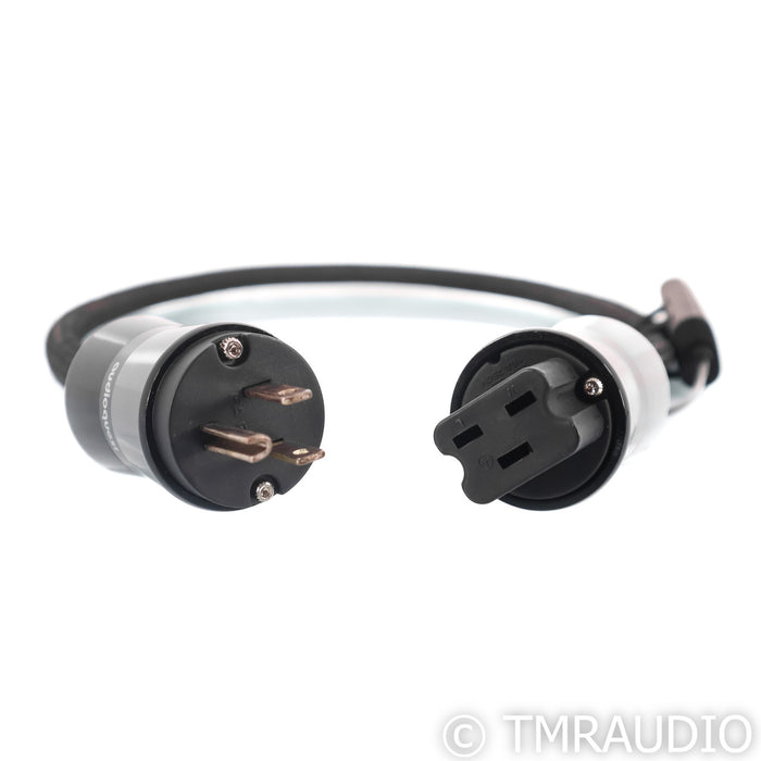 AudioQuest NRG-1000 Power Cable; 1m AC Cord; 72v DBS (20 Amp)