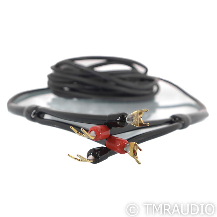 Transparent Audio MusicWave Speaker Cable; Single 40ft cable