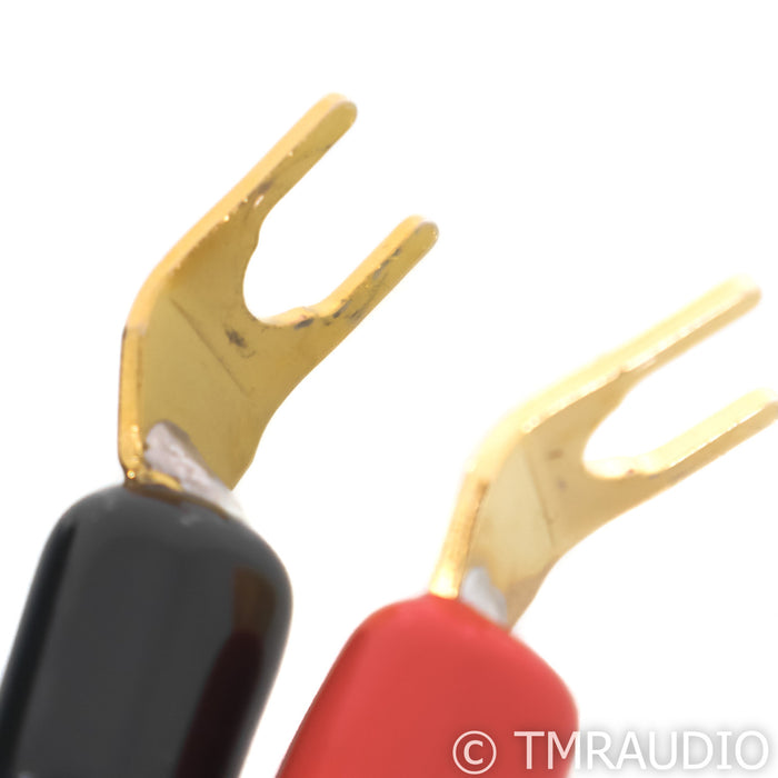 Transparent Audio MusicWave Speaker Cable; Single 40ft cable