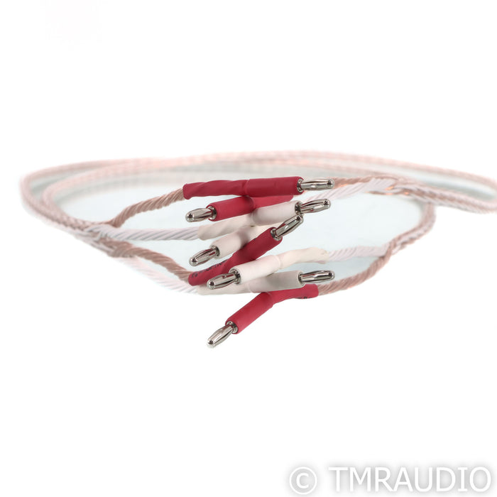 Kimber Kable 8TC Speaker Cables; 4ft Pair
