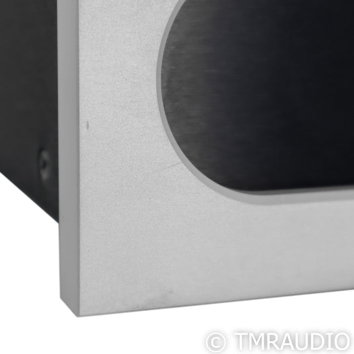 Bel Canto e.One M300 Monoblock Power Amplifier; Single